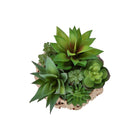 Monarch Specialties 9369 9" Tall Artificial Succulents - Brown Woven Basket - Set of 2-Crafted from high-quality materials, these artificial plants offer the appearance of live succulents with no maintenance required