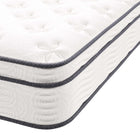 Modway Jenna 10" Innerspring and Foam Twin XL Mattress-1 Year Limited Manufacturer Warranty