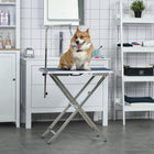PawHut Foldable Dog Grooming Table for Medium Dogs - Blue-Textured rubber tabletop prevents items from slipping