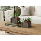 Monarch Specialties 9371 10" Tall Artificial Succulents - Brown Wooden Pots - Set of 2-Made with environmentally friendly materials, this artificial plant set offers a sustainable décor solution that works as an accent for the home or office