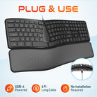 Delton KB250 Ergonomic Keyboard - Black-Compatible with Windows, macOS, ChromeOS, Linux, Android, and iOS operating systems