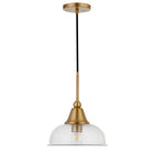 Hudson&Canal Magnolia 10.75" Wide Pendant with Glass Shade - Brass/Seeded-Modern and contemporary design for your entryway, foyer, or kitchen