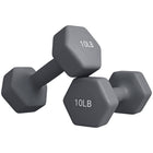 Soozier Hexagonal Dumbbells - Set of 2-Two dumbbells, each 10lb