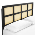 Modway Sidney Cane and Wood Queen Platform Bed with Splayed Legs - Black-Rubberwood Legs