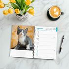 BrownTrout Kittens 2026 16-Month Planner-Large, Roomy Day Blocks - Week-long format spread across two pages, with all major holidays and moon phases listed, plus plenty of space for writing down contacts, notes, and special events