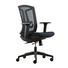Heartwood ECO-MB Jupiter Series Echo Mesh Mid-Back and Fabric Chair, Black-Black mesh back with matching black fabric seat cushion