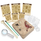 4M KidzLabs Creepy Crawly Digging Kit - Ages 5+-4