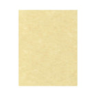 LUX 8 1/2 x 11 Cardstock, Gold Parchment, 250 Pack (81211-C-41-250)-Comes in gold parchment, which is a a soft gold cardstock with a smooth finish