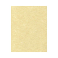 LUX 8 1/2 x 11 Cardstock, Gold Parchment, 250 Pack (81211-C-41-250)-Comes in gold parchment, which is a a soft gold cardstock with a smooth finish