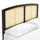 Modway Sierra Cane and Wood Full Platform Bed with Angular Legs - Black-Weight Capacity: 600 lb