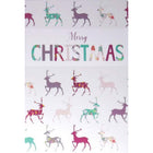 Rosedale 5-1/2" x 8" Christmas Greeting Cards/Envelopes - 12 Pack-Card shop quality greeting cards
