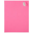 JAM Paper Round Circle Label Sticker Seals, 1 2/3 inch diameter, Ultra Pink, 3 Sets of 120 (147627062g)-360 per pack