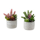 Monarch Specialties 9366 9" Tall Artificial Succulents - Grey Cement Pots - Set of 2-This set of 2 artificial plants features 9" tall artificial succulents designed to add a modern decorative touch to any table, shelf, or surface