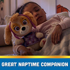 PAW Patrol Skye Bedtime Plush-Inspires creative play: kids will love creating pretend play adventures throughout the day, reliving their favorite scenes from the show, then snuggling up to their little plushies at bedtime!