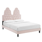 Modway Alexandria Tufted Performance Velvet Twin Platform Bed with Black Wood Legs - Pink-Stain-Resistant Performance Velvet