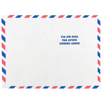 JAM Paper Tyvek Envelopes, 9 x 12 Open End, White Airmail, 500 Pack-Tyvek Airmail Design Envelopes