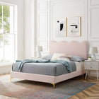 Modway Current Performance Velvet Twin Platform Bed with Gold Metal Legs - Pink-Stain-Resistant Performance Velvet