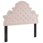 Modway Diana Tufted Performance Velvet Full/Queen Headboard - Pink-Dense Foam Padding