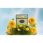 Steven Smith Teamaker Spring Greens Green Tea - 6 x 15 count sachets-Individually wrapped sachets to maintain the freshness