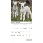 DateWorks 2026 16-Month Wall Calendar - 12" x 12" - Animal Babies - Bilingual-Animals