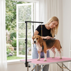 PawHut Dog Grooming Arm with Clamp - Adjustable - 18.9" - 32.3"- Black-Adjustable 18.9-32.3 inch height fits different dogs in yard or bathroom
