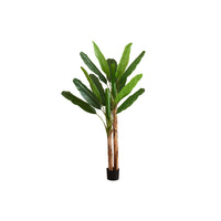Monarch Specialties 83" Artificial Indoor Banana Tree - Floor - Black Pot-Stand out with a statement-making 83" tall artificial banana tree, featuring 16 large, variegated green leaves for a lifelike and tropical accent for the home or office