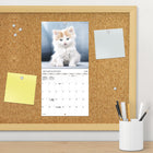 DateWorks 2026 16-Month Mini Wall Calendar - 7" x 7" - Cuddly Kittens - Bilingual-Features monthly pages for January to December 2026, as well as the last 4 months of 2025