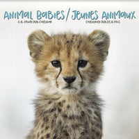 DateWorks 2026 16-Month Wall Calendar - 12" x 12" - Animal Babies - Bilingual-12.00" x 12.00"