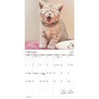 DateWorks 2026 16-Month Wall Calendar - 12" x 12" - Cuddly Kittens - English-Animals