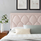 Modway Greta Performance Velvet King/California King Headboard - Pink-3 Mounting Positions