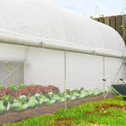 Outsunny Walk-in Greenhouse with Roll-up Mesh Sidewalls - 19.5' x 10' x 6.6' - Reinforced grid enhances cover durability, prevents tearing
 