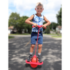 Danaplay Pogo Ball with Handle-Includes Air Pump