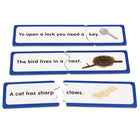Junior Learning 6 Comprehension Games (JRL406)-8