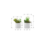 Monarch Specialties 7" Artificial Indoor Succulent Green Plants - Table - White Ceramic Pots - Set of 2-These easy-care fake green plants are made from the highest quality materials and require no maintenance or watering, for a sustainable, environmentally friendly decorative accents that will last a lifetime