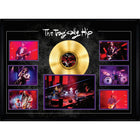 The Tragically Hip Concert Collage with Gold LP - Framed Print - 33" x 25"-Premium music memorabilia