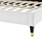 Modway Daisy Performance Velvet Queen Platform Bed with Wood Legs and Gold Metal Sleeves - White-Wood Legs With Gold Metal Sleeves