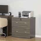 Vinsetto 2-Drawer Lateral Filing Cabinet with Lock - Grey-Can be used as a printer table for holding printer or fax machine