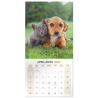Mead 2027 Decorative Wall Calendar - 12" x 12" - Paw Pals - Bilingual-Bilingual layout supports English and French for Canadian environments