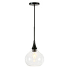 Hudson&Canal Ida 9.5" Wide Pendant with Glass Shade - Matte Black/Clear-Paired with a clear teardrop glass shade