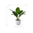Monarch Specialties 17" Artificial Indoor Aureum - Table - White Pot-This easy-care faux potted plant is made from the highest quality materials and requires no maintenance or watering, for a sustainable, environmentally friendly decorative accent that will last a lifetime