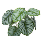 Monarch Specialties 24" Artificial Indoor Calathea - Table - Black Pot-6