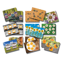 Yellow Door Honey Bee Early Number Cards 16-Piece Set-These engaging activity cards provide an exciting way to teach early number skills