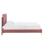 Modway Novi Performance Velvet King Bed with Gold Metal Legs with Foot Caps - Dusty Rose-Reinforced Center Beam