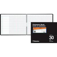 Blueline A769 Columnar Book, A769-30T, 30 Columns-A769-30T, 30 Columns