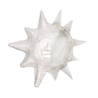 AMACO Sculptamold Modeling Compound - 25 lbs-Sculptamold is like papier maché in that this cellulose compound is lightweight and does not shrink. Unlike papier maché, it may be modeled and cast with ease.