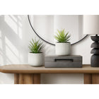 Monarch Specialties 9362 9" Tall Artificial Succulents - White Cement Pots - Set of 2-Crafted from high-quality materials, these environmentally friendly artificial plants offer a sustainable décor solution while maintaining a lush, natural appearance