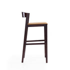 Manhattan Comfort Klismos 20" Mid-Century Modern Faux Leather Upholstered Bar Stool - Camel and Dark Walnut-Low Back Design with Upholstered Seated Cushion