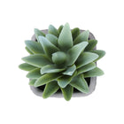 Monarch Specialties 9363 8" Tall Artificial Succulents - Grey Cement Pots - Set of 2-Crafted from high-quality materials, these artificial succulents deliver a realistic look that captures the beauty of live plants without the need for care