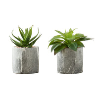 Monarch Specialties 6" Artificial Indoor Succulent - Table - Grey Cement Pots - Set of 2-Create your own indoor oasis with this set of 2 artificial indoor succulent plants
