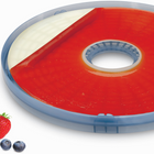 Salton Food Dehydrator - Black- Transparent trays allow you to monitor food 
